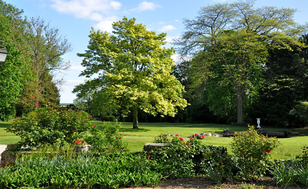 Demeure de charme dans un vaste parc arboré et fleuri 