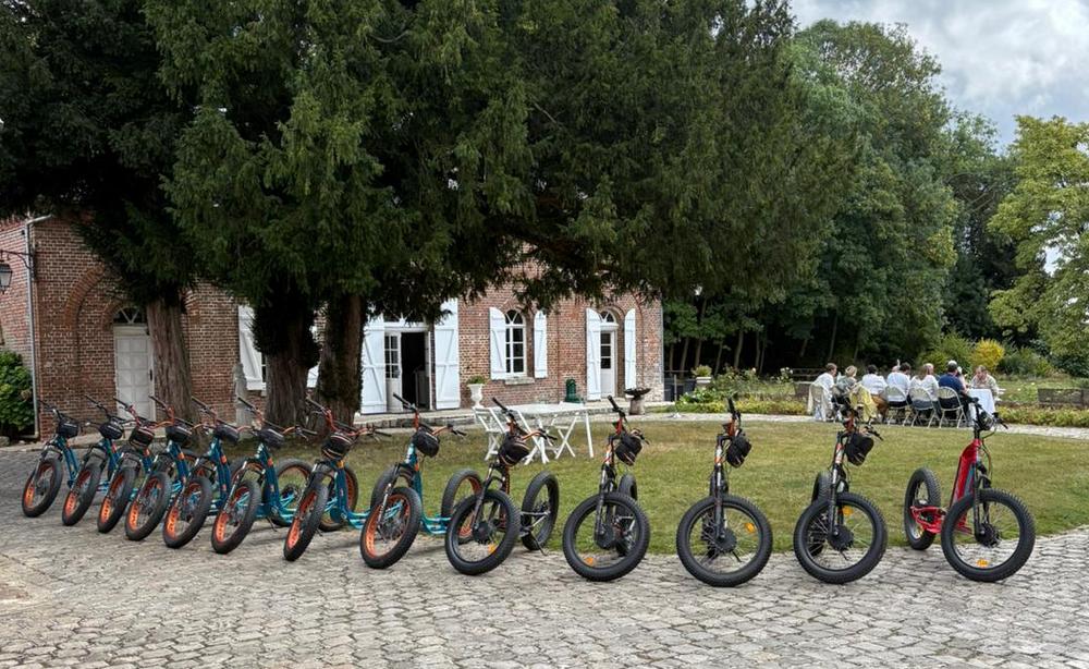 Trottinettes électriques 
